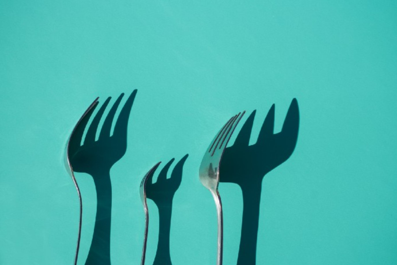 forks with shadows